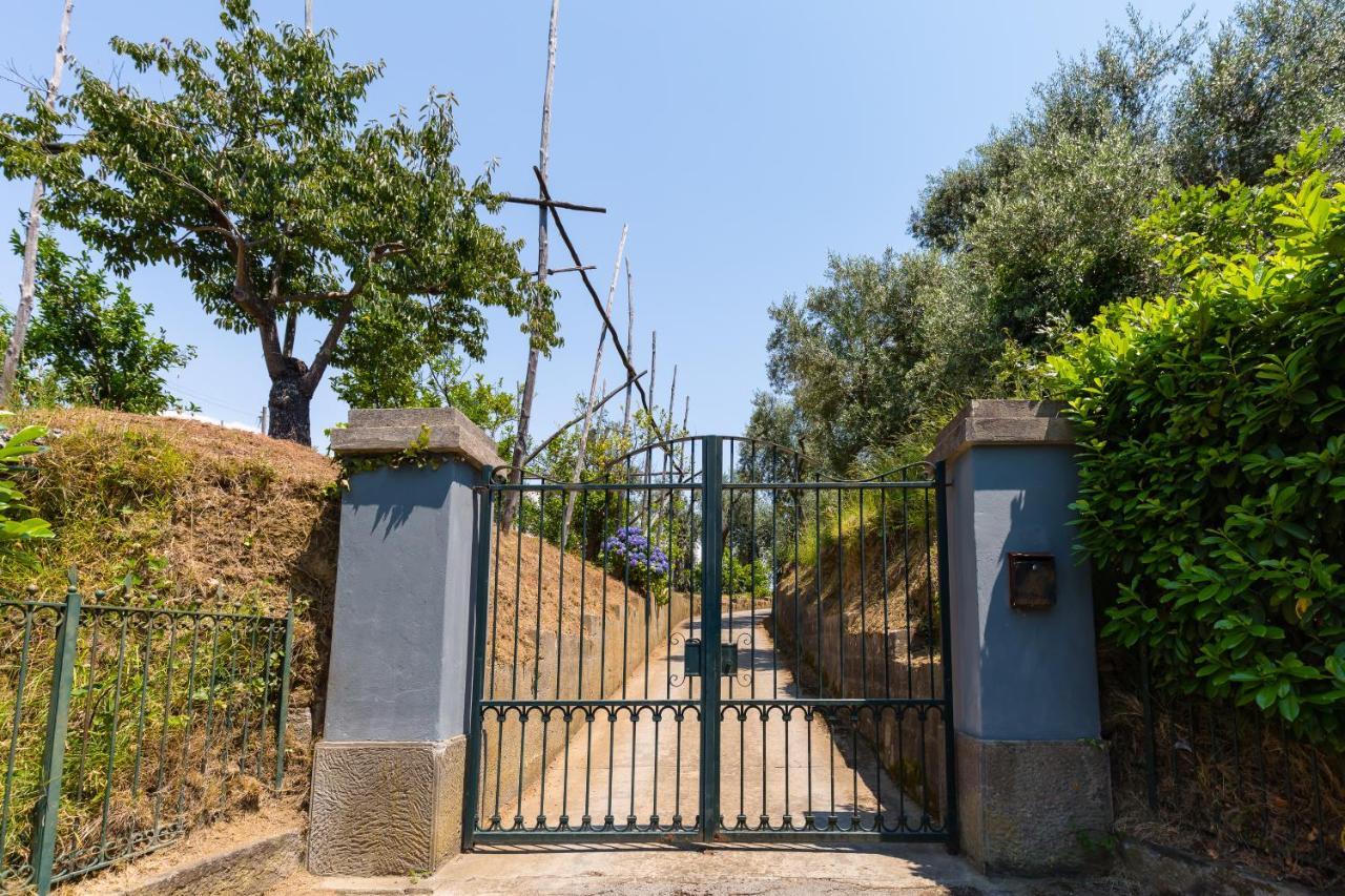 Villa Ada Península Sorrentina Exterior foto